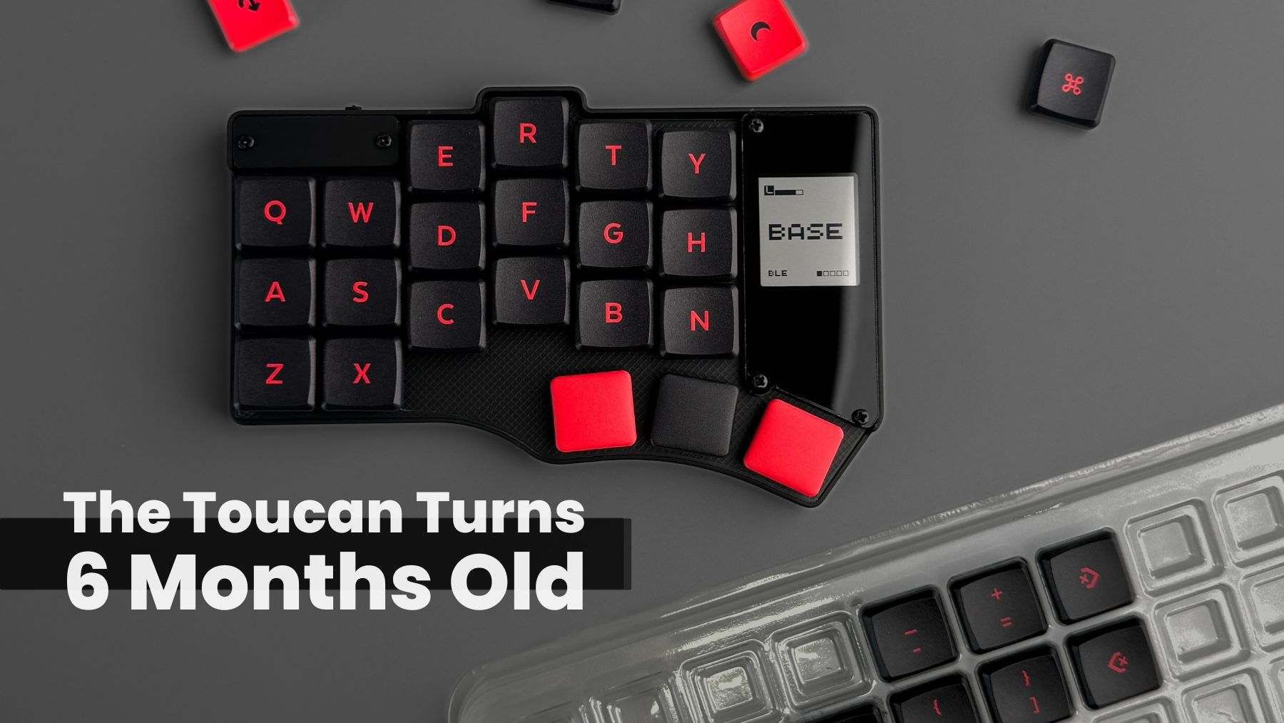 It's been an incredible 6 months since we first introduced the Toucan. Here's an update on what's changed, what's new, and what's coming next.
